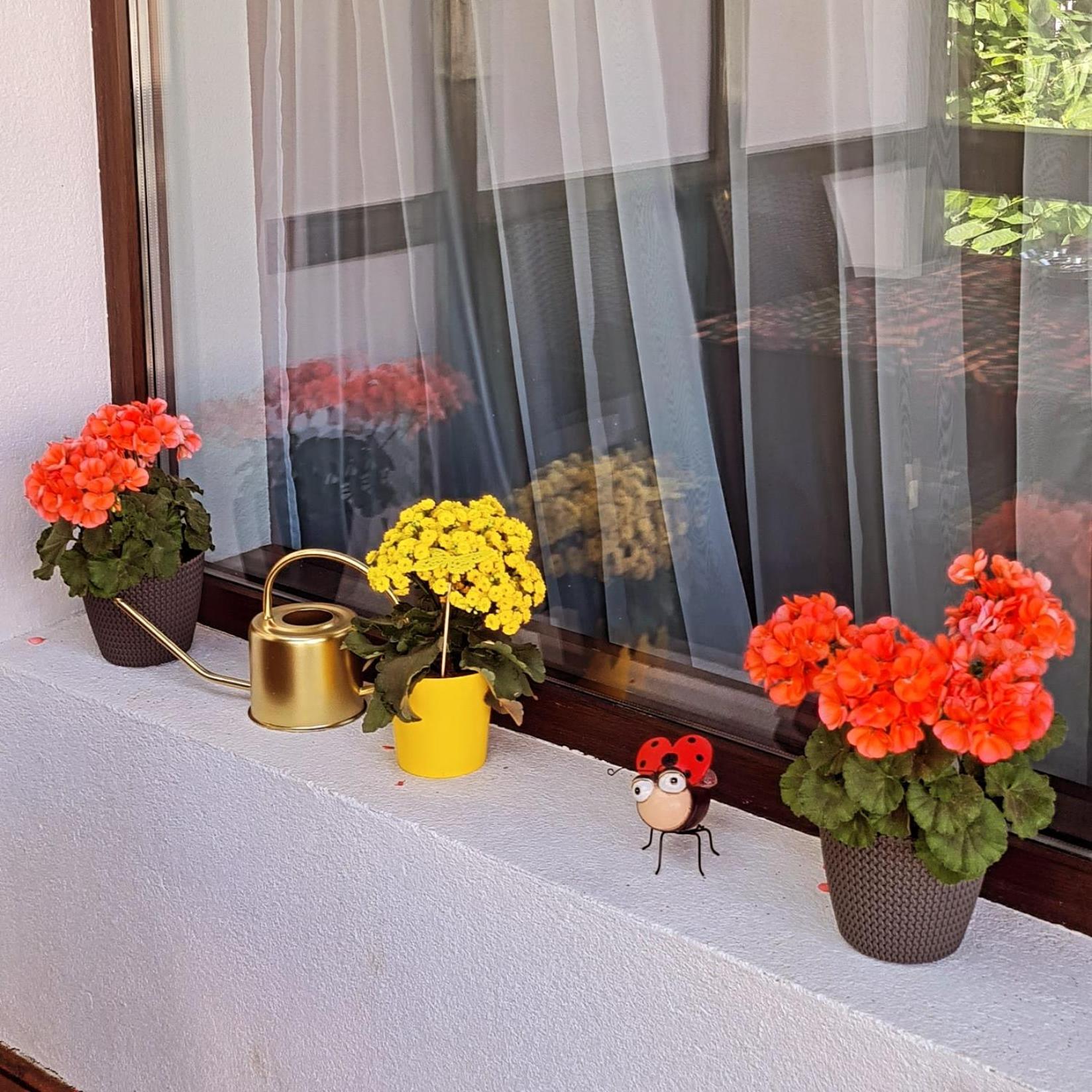 Casa Ama Villa Buşteni Екстериор снимка